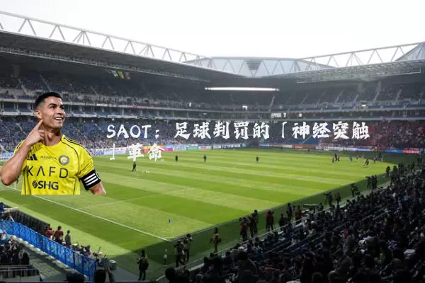 SAOT:足球判罚的「神经突触」革命